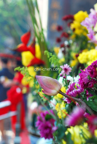Colorful Flowers @ Kuan Yin Temple, Klang